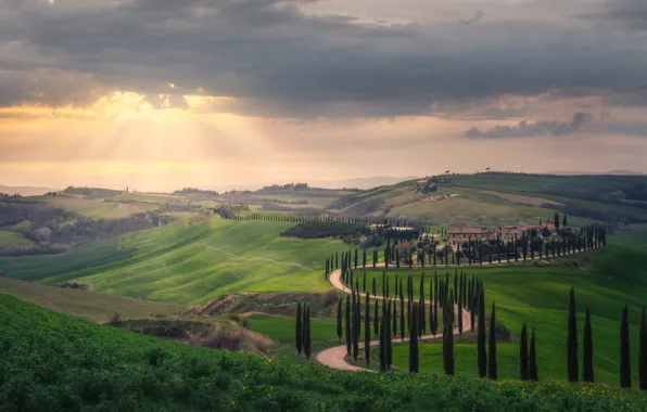 Road, field, home, Italy, meadows, cypress, Tuscany