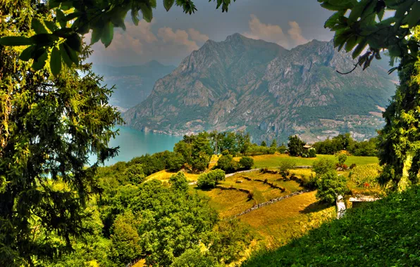 Trees, mountains, branches, lake, field, HDR, beautiful, Italy
