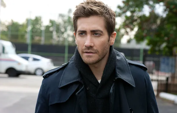 Look, actor, male, Jake Gyllenhaal, Jake Gyllenhaal, producer