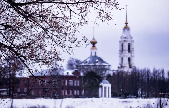 Winter, Tree, Temple, dixon_photo