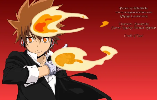 Flame, guy, Katekyo Hitman reborn, Teacher mafia Reborn, Sawada Tsuyoshi