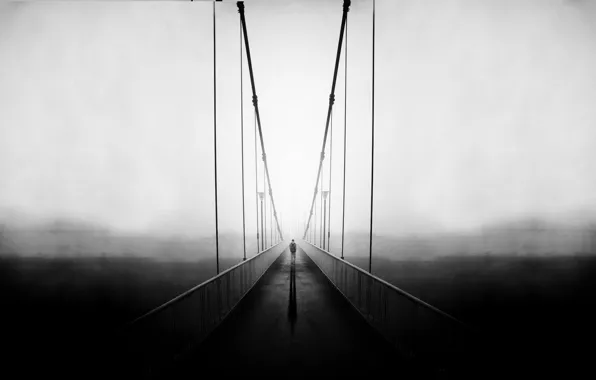 Picture bridge, male, adventure