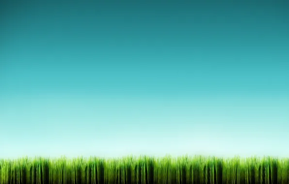 Picture blue, minimalism, Grass