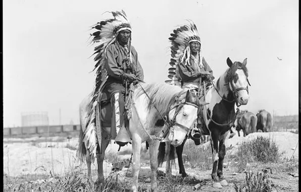 Picture horses, native american, first people, proud men, two chiefs on horses