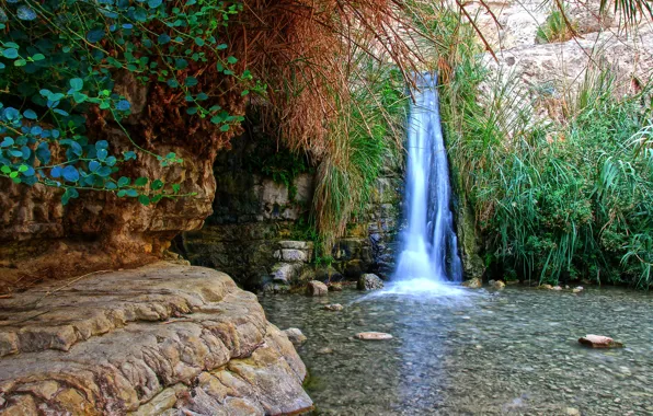 Water, rock, stones, plant, waterfall, the grotto