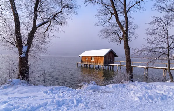 Winter, snow, trees, fog, lake, pier, house