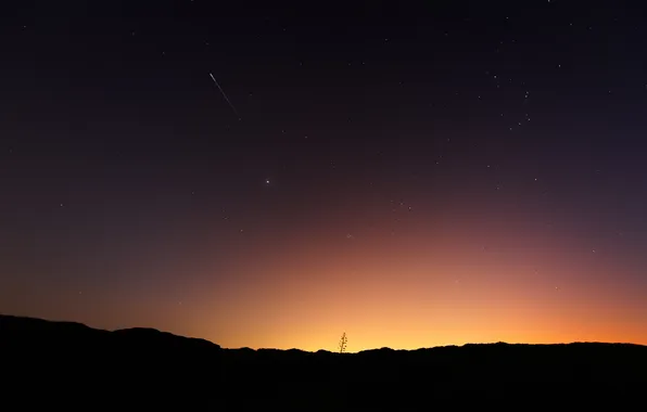 Picture the sky, night, dawn, glow, meteor, morning, meteor shower Perseids