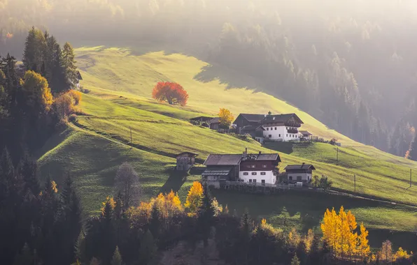 Autumn, forest, light, fog, hills, the slopes, morning, slope