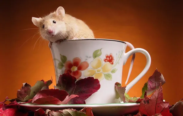 Picture Leaves, Mouse, Cup