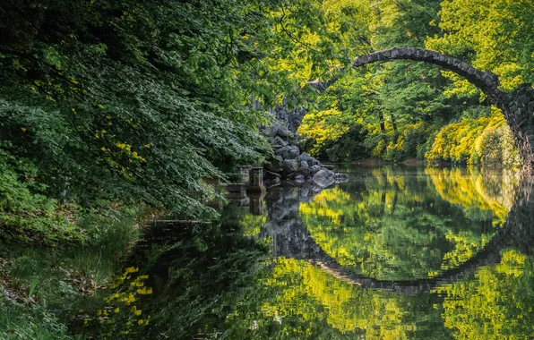 Forest, lake, the bridge