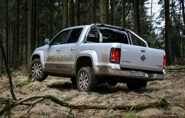 Picture forest, trees, branch, vegetation, Volkswagen, pickup, Amarok, Highline