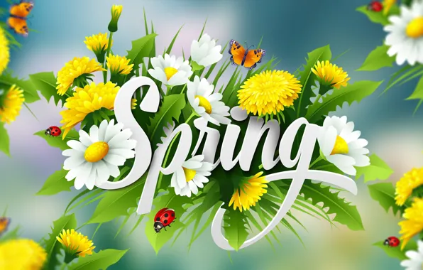 Graphics, Flowers, Spring