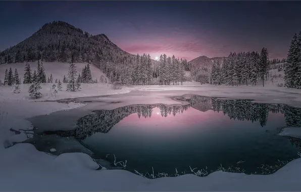 Winter, forest, snow, mountains, lake, reflection, the evening, ate