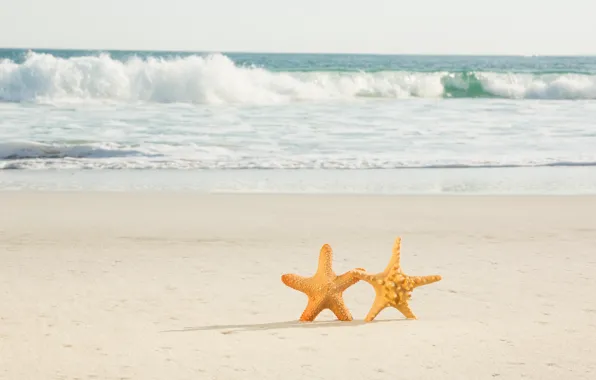 Sand, sea, beach, star, pair, summer, love, beach