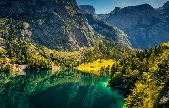 Forest, mountains, lake, Germany, Bayern, Germany, Bavaria, Bavarian Alps