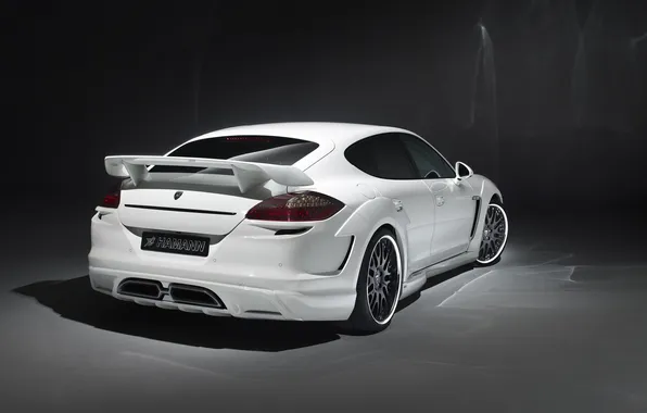 Picture white, background, tuning, Porsche, Panamera, Hamann, rear view, tuning