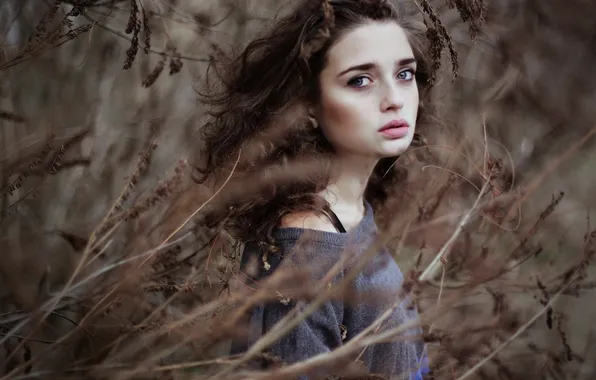 Picture girl, branches, face, beautiful