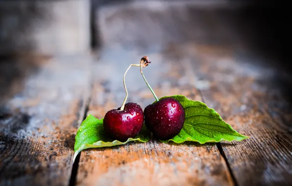 Cherry, berries, fresh, cherry, sweet, cherry, berries