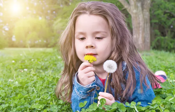 Picture nature, girl, lies, dandelions, Rus
