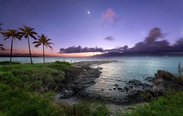 Night, palm trees, the ocean, coast, stars, Hawaii, Maui