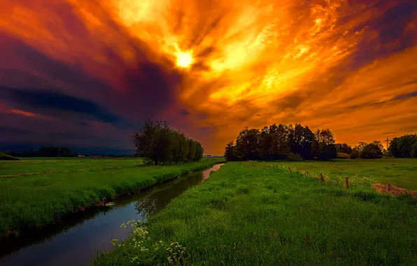Picture field, the sky, grass, clouds, trees, stream, channel, glow