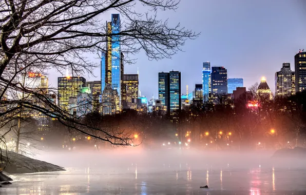 Trees, branches, nature, the city, lights, fog, lake, Park