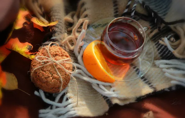 Autumn, heat, mood, tea, oranges, plaid, autumn, tea