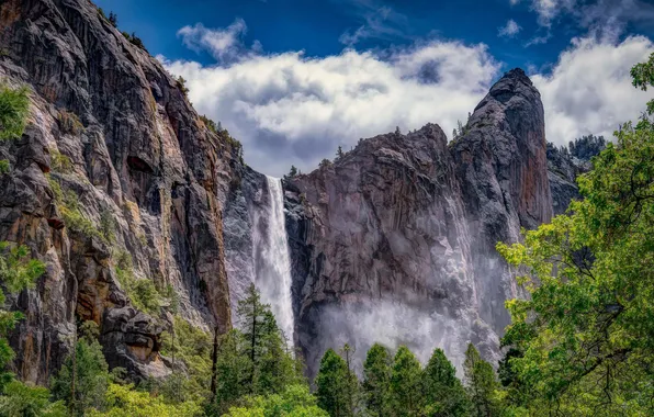 Picture forest, the sky, clouds, trees, landscape, mountains, nature, rocks