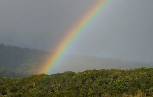 Picture nature, rainbow, Rainbow, nature