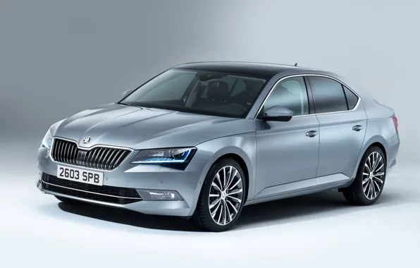 Profile, The front, Skoda, Skoda, Superb