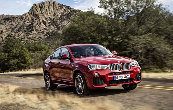 Picture road, auto, BMW