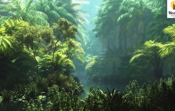 Djungla, nature, tropics, river, vegetation