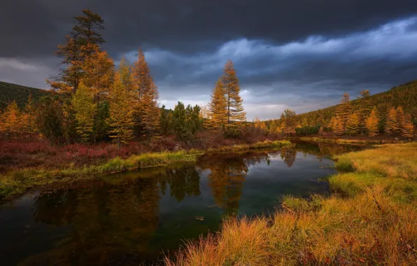 Picture clouds, shore, lake, autumn, forest