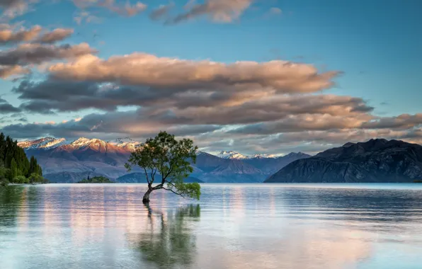Picture mountains, nature, lake, tree