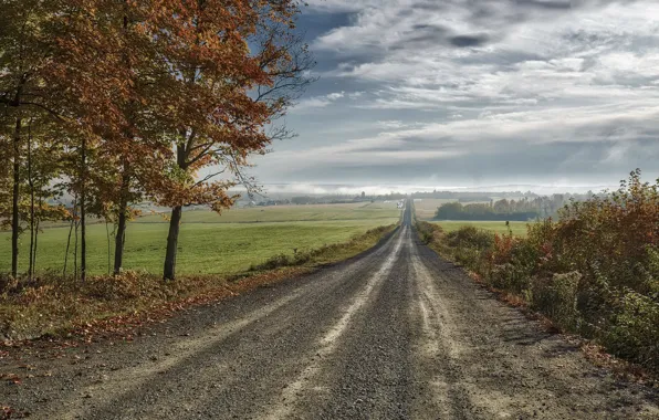 Road, field, autumn, the sky, nature