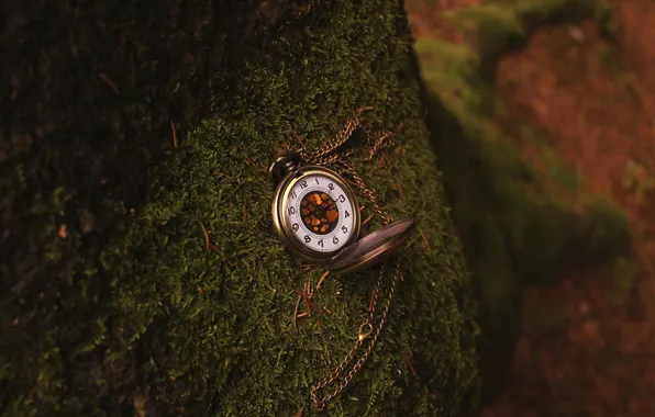 Picture tree, watch, moss, chain