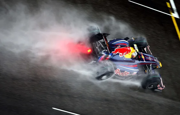 Picture squirt, Formula-1, rear view, Red Bull, formula 1, red bull, racing car, RB5