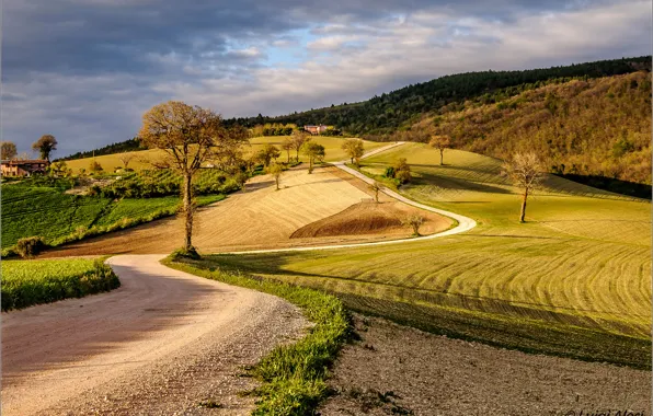Road, the sky, trees, hills, home, Italy, Campagna
