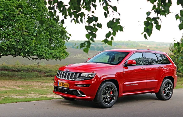 Picture jeep, SUV, Grand Cherokee, Jeep, Grand Cherokee