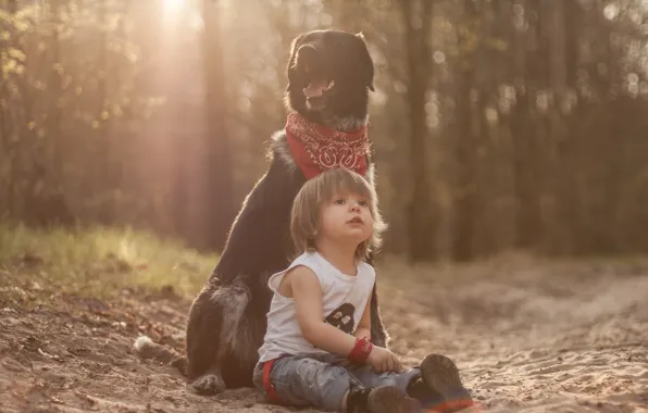 Dog, boy, friends, dog