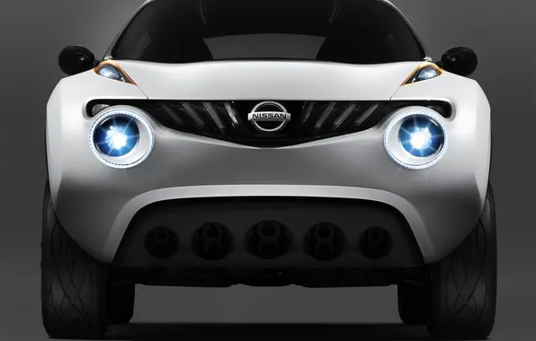 Concept, Nissan, Nissan, Win, the concept car, 2009, Nissan Qazana Concept