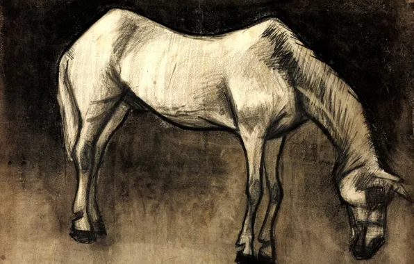 Picture Vincent van Gogh, white horse, Old Nag