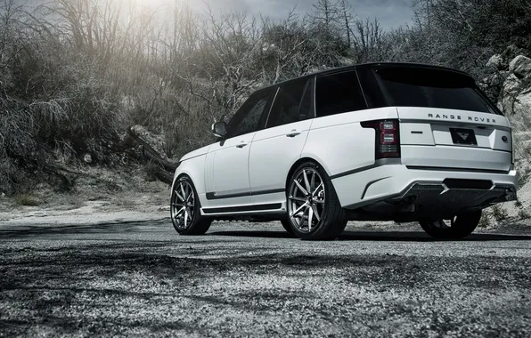 Picture Land Rover, Range Rover, land Rover, range Rover, Vogue, 2015
