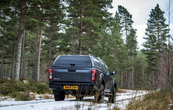 Picture road, forest, snow, pickup, 2018, Isuzu, Huntsman, D-Max