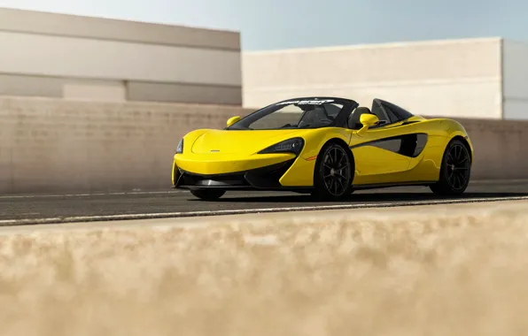 Supercar, 2018, Spider, McLaren 570S