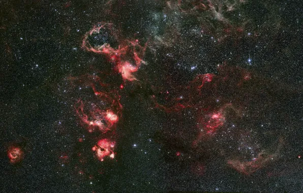 Nebula, constellation, Gold Fish, Tarantula, NGC 2070