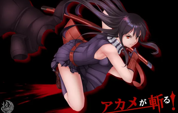 Picture girl, background, Akame GA Kill, Akame Ga Kill!