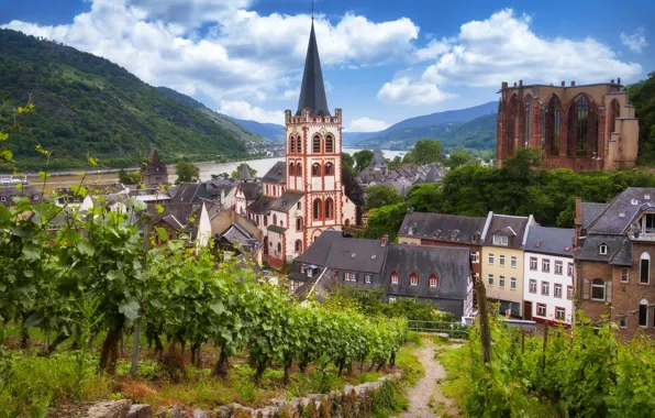 Picture mountains, the city, river, home, Germany, valley, the vineyards, Rhine