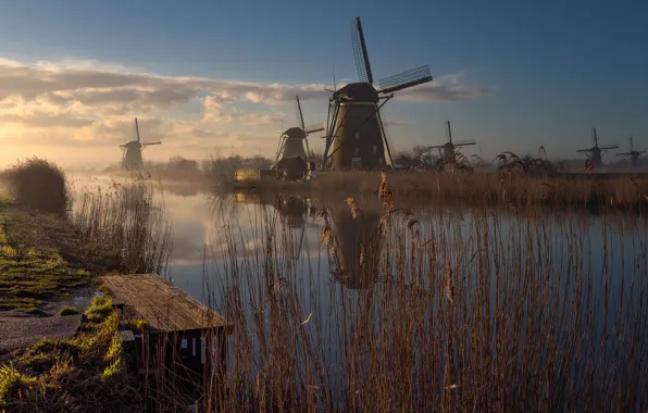 Grass, landscape, nature, fog, river, morning, mill, Netherlands