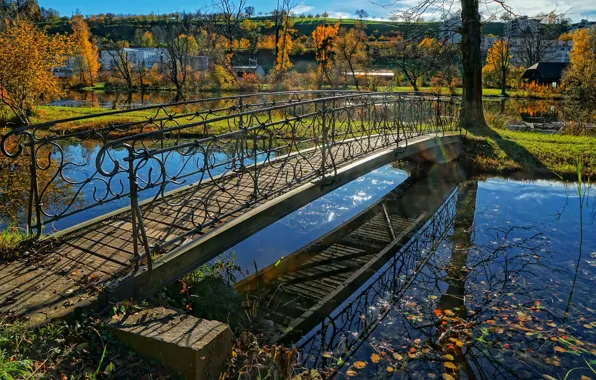 Autumn, Park, stream, Switzerland, the bridge, the Canton of Zurich